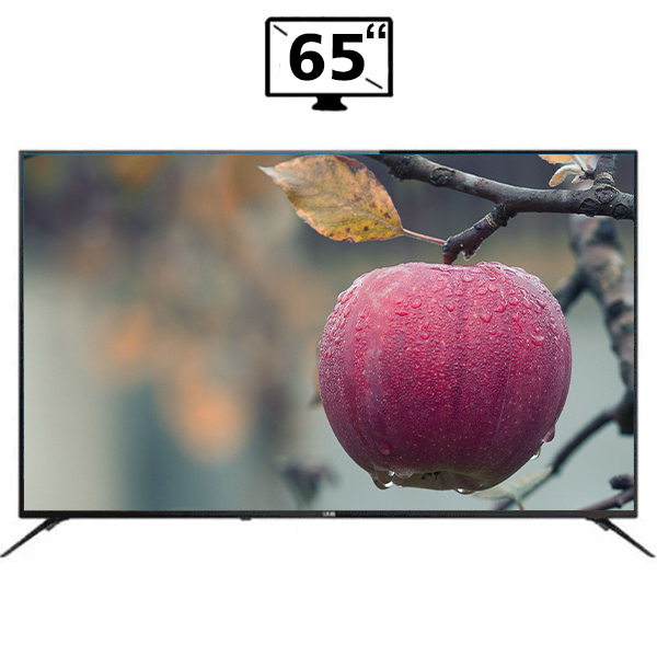 تلویزیون سام مدل UA65TU7000