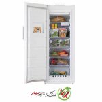 فریزر 16 فوت امرسان مدل FN16D