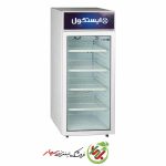 یخچال ایستکول مدل TM-9515 CS شوکیس