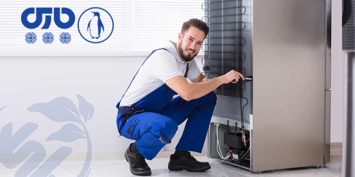 گارانتی و خدمات پس از فروش برند پارس، یخچال پارس دوقلو