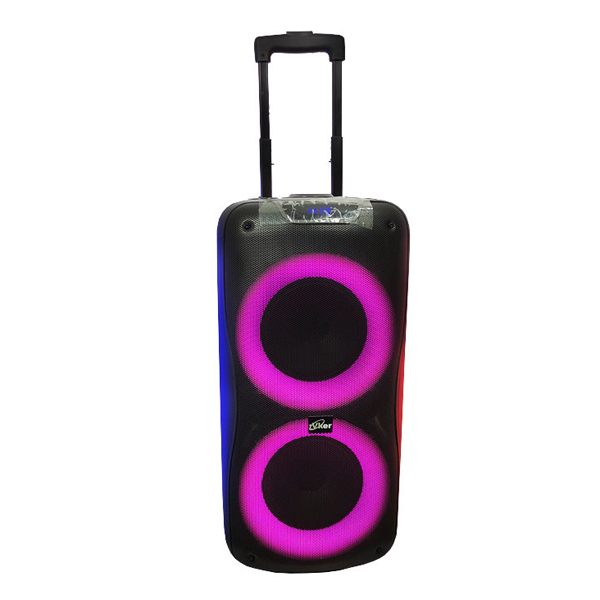 باند اسپیکر شارژی ویکر مدل 170U دوساب 8