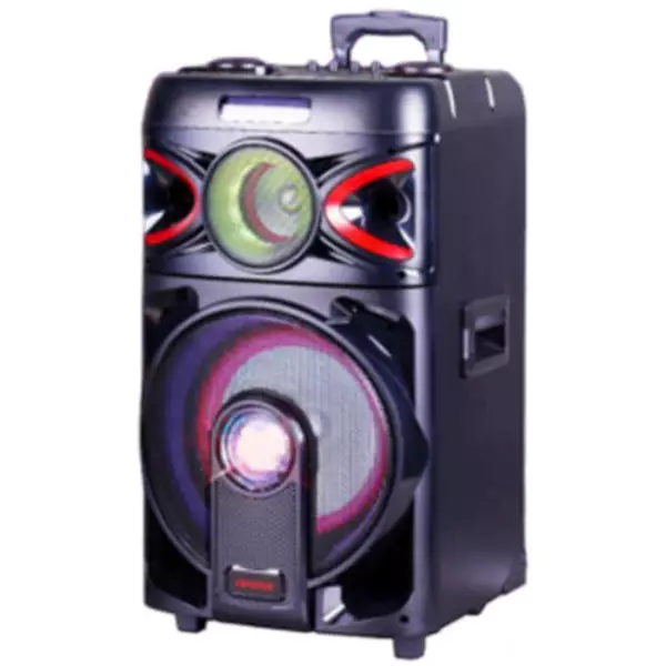 اسپیکر آیوا X1123