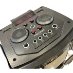 اسپیکر دی‌جی حرفه‌ای میکرولب مدل Microlab DJ-T400 - Image 3